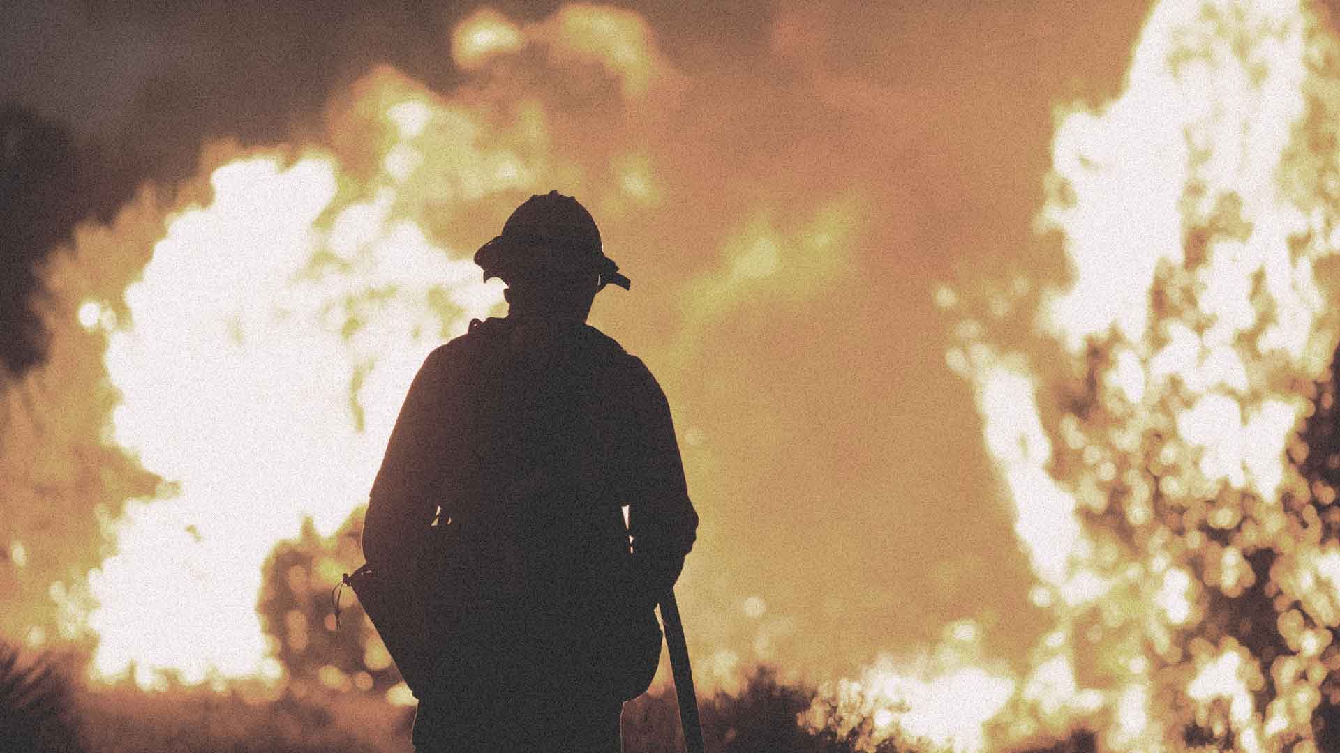 יומיים עברו מאז פרצו השריפות באזור לוס אנג'לס והכבאים עדיין לא הצליחו להשתלט על האש. מעל 1,000 מבנים נשרפו עד היסוד והאש ממשיכה להתפשט. הפעילות בעיר פסקה לחלוטין כאשר עסקים רבים סגרו את החנויות ומחכים לראות אם הן ישרדו את האירוע.